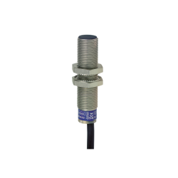 XS612B1PAL10EX - DDPI EX M8...