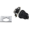 9001SK1L38LRRH13 - PUSHBUTTON 600VAC 10AMP 30MM SK +OPTIONS