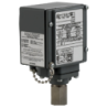 9012GCW1G18 - PRESSURE SWITCH 480VAC 10AMP G +OPTIONS