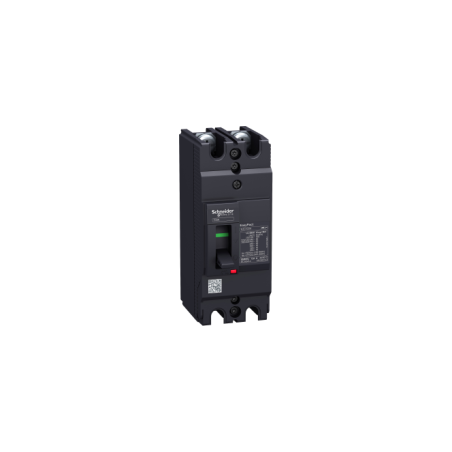 EZC100H2015 - Disjoncteur EZC100 H 30kA 2P 2T 15A